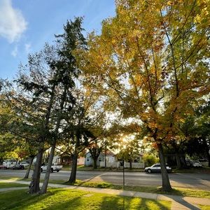 Literally for Cecilia and Cecilia only